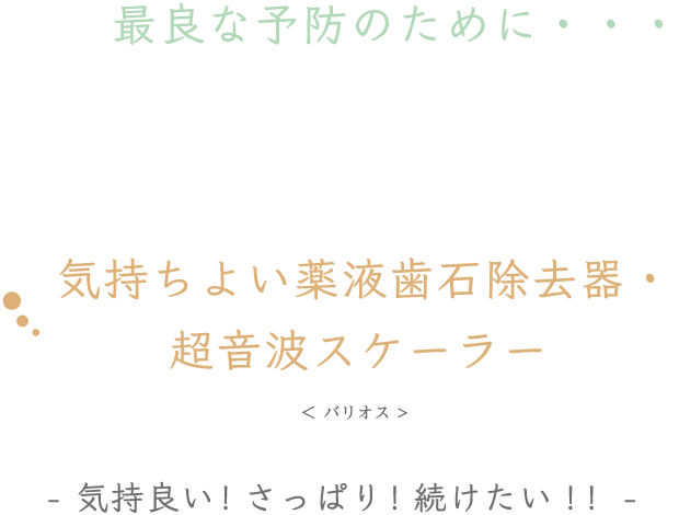 気持ちよい薬液歯石除去器・超音波スケーラー